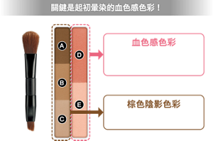 關鍵是起初暈染的血色感色彩！  鼻影刷 眉刷  血色感色彩 恰到好處的滋潤貼合粉體 疊擦其上的棕色陰影色彩也能 服服貼貼  棕色陰影色彩 打造自然陰影的 鬆柔粉體