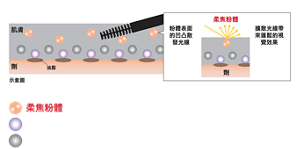 肌膚 劑 油脂 示意圖 柔焦粉體 粉體表面的凹凸散發光線 擴散光線帶來蓬鬆的視覺效果 柔焦粉體 油膜粉末 蠟