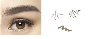eye_brow-lasting_eyebrow_w-color-sld-br01-s-5