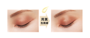粹選單色眼影 049  用黃色微調  校色眼影打底膏 EX-2 + 粹選單色眼影 049  妝效示意圖