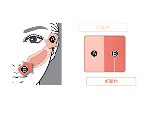 HOW TO A＝打亮色 B＝紅潤色 ①以腮紅刷沾取B，沿顴骨刷上狹長型腮紅。 ②以腮紅刷沾取A，朝臉部中央大範圍輕刷。