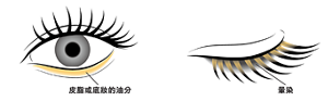 皮脂或底妝的油分 暈染