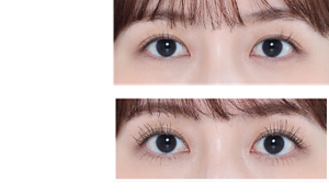 Before 素睫毛 After 使用 纖長款 BK-1 妝效示意圖