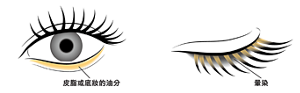 皮脂或底妝的油分 暈染