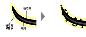 〈示意圖〉