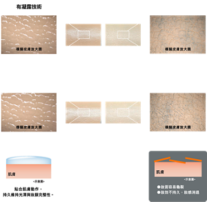 模擬皮膚塗抹 有凝露技術 平滑遮蓋肌膚凹凸 沒有凝露技術 凹凸明顯未被遮蓋 模擬皮膚放大圖  為模擬肌膚動態，對模擬肌膚進行伸縮測試 （上下左右各伸縮5次） 維持均勻塗膜 鎖住原生光澤 脫妝斑駁不均的妝容狀態 呈現光滑均勻的自然光澤妝效 肌膚 <示意圖> 貼合肌膚動作， 持久維持光澤與妝膜完整性。 ●妝面容易龜裂 ●妝效不持久、妝感消退