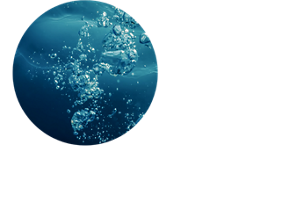 海洋性美容液成分CP ※2