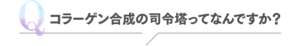 Q コラーゲン合成の司令塔ってなんですか？