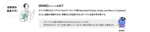 SPARC（スパーク）とは？タンパク質のひとつでマトリセルラータンパク群（Secreted Protein Acidic and Rich in Cysteine）のこと。細胞の増殖や分化、移動などを促進させるコラーゲン合成の司令塔です。