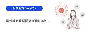 「シワとコラーゲン」紫外線を長時間浴び続けると...