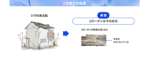 これまでの知見