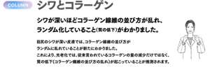 COLUMN シワとコラーゲン　シワが深いほどコラーゲン線維の並び方が乱れ、ランダム化していること（質の低下）がわかりました。　目尻のシワが深い皮膚では、コラーゲン線維の並び方がランダムに乱れていることが新たにわかりました。これにより、光老化では、従来言われているコラーゲンの量の減少だけではなく、質の低下（コラーゲン線維の並び方の乱れ）が起こっていることが推測されます。