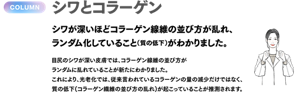 COLUMN シワとコラーゲン　シワが深いほどコラーゲン線維の並び方が乱れ、ランダム化していること（質の低下）がわかりました。　目尻のシワが深い皮膚では、コラーゲン線維の並び方がランダムに乱れていることが新たにわかりました。これにより、光老化では、従来言われているコラーゲンの量の減少だけではなく、質の低下（コラーゲン線維の並び方の乱れ）が起こっていることが推測されます。