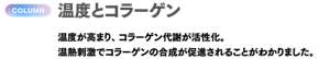 COLUMN 温度とコラーゲン　温度が高まり、コラーゲン代謝が活性化。温熱刺激でコラーゲンの合成が促進されることがわかりました。