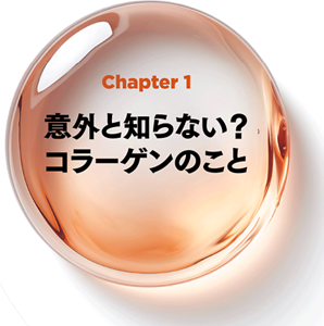 Chapter 1 意外と知らない？コラーゲンのこと