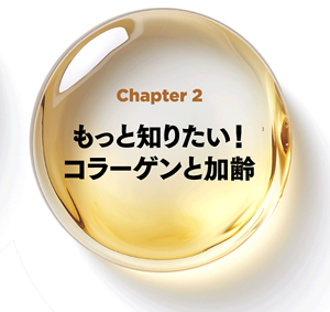 Chapter 2 もっと知りたい？コラーゲンと加齢