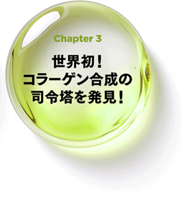 Chapter 3 世界初！コラーゲン合成の司令塔を発見！