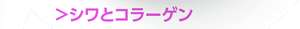 シワとコラーゲン