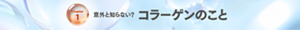 Chapter 1 意外と知らない？コラーゲンのこと