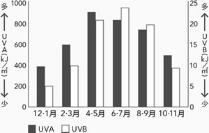 紫外線量（UVA・UVB）の季節変化グラフ　4・5月にUVA、６月にUVBのピークを迎えます。UVA：2014・2015年気象庁HPの日積算日射量データ（札幌、つくば、大阪、鹿児島）を用いて推算　UVB：2014・2015年気象庁HPデータ（つくば）を用いて算出※カネボウ化粧品調べ