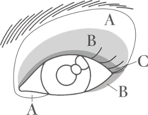 塗布イメージ図。