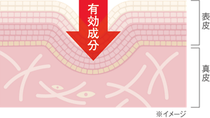 有効成分イメージ