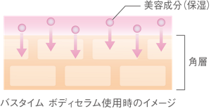 バスタイム　ボディセラム使用時のイメージ図　浴室に入ると角層は膨潤しているので、この状態にバスタイム　ボディセラムを塗布することで、美容成分（保湿）が角層に浸透しやすくなります