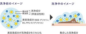 洗浄前のイメージ　美容液成分（保湿：グリセリン、 BG、PPG-９ジグリセリル）が洗浄成分 （界面活性剤）をミセル化　洗浄中のイメージ　集合した洗浄成分