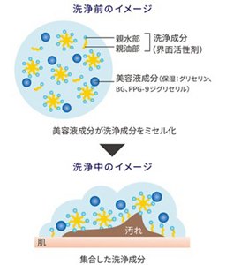 洗浄前のイメージ　美容液成分（保湿：グリセリン、 BG、PPG-９ジグリセリル）が洗浄成分 （界面活性剤）をミセル化　洗浄中のイメージ　集合した洗浄成分