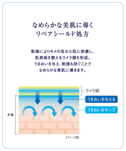 なめらか美肌に導くリペアシールド処方。乾燥によりキメの乱れた肌に密着し、肌表面を整えるラメラ膜を形成。うるおいを与え、乾燥も防ぐことでなめらかな美肌に導きます。 リペアシールド処方のイメージ
