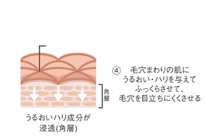 Wポアアプローチ処方　毛穴まわりの肌にうるおい・ハリを与えてふっくらさせて、毛穴を目立ちにくくさせるイメージ