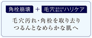 角栓崩壊＋毛穴まわりの肌にもハリケア 毛穴汚れ・角栓を取り去りつるんとなめらかな肌へ