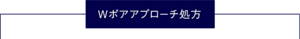Wポアアプローチ処方