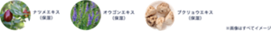 ナツメエキス (保湿)　オウゴンエキス (保湿)　ブクリョウエキス (保湿) ※画像はすべてイメージ