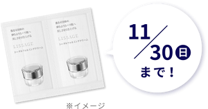 11月30日（日）まで！　※イメージ