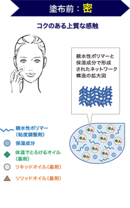 塗布前：密　コクのある上質な感触　親水性ポリマーと保湿成分で形成されたネットワーク構造の拡大図　親水性ポリマー （粘度調整剤）　保湿成分　体温でとろけるオイル （基剤）　リキッドオイル（基剤）ソリッドオイル（基剤）