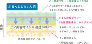 塗布後の肌でのイメージ  ナノ美容オイル（柔軟化成分：スクワラン）が角層まで浸透。 ジェル形成ポリマー（粘度調整成分：カルボマー）は塗布時にジェルがくずれて、みずみずしい感触を付与。 ハリ感ポリマー（保湿成分：PEG）が肌の上にとどまり、うるおってピンとしたハリ感を与えます。