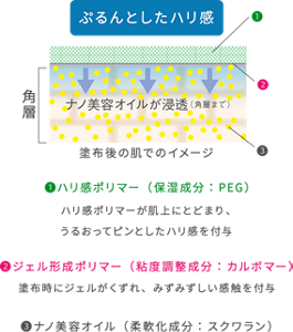 塗布後の肌でのイメージ  ナノ美容オイル（柔軟化成分：スクワラン）が角層まで浸透。 ジェル形成ポリマー（粘度調整成分：カルボマー）は塗布時にジェルがくずれて、みずみずしい感触を付与。 ハリ感ポリマー（保湿成分：PEG）が肌の上にとどまり、うるおってピンとしたハリ感を与えます。