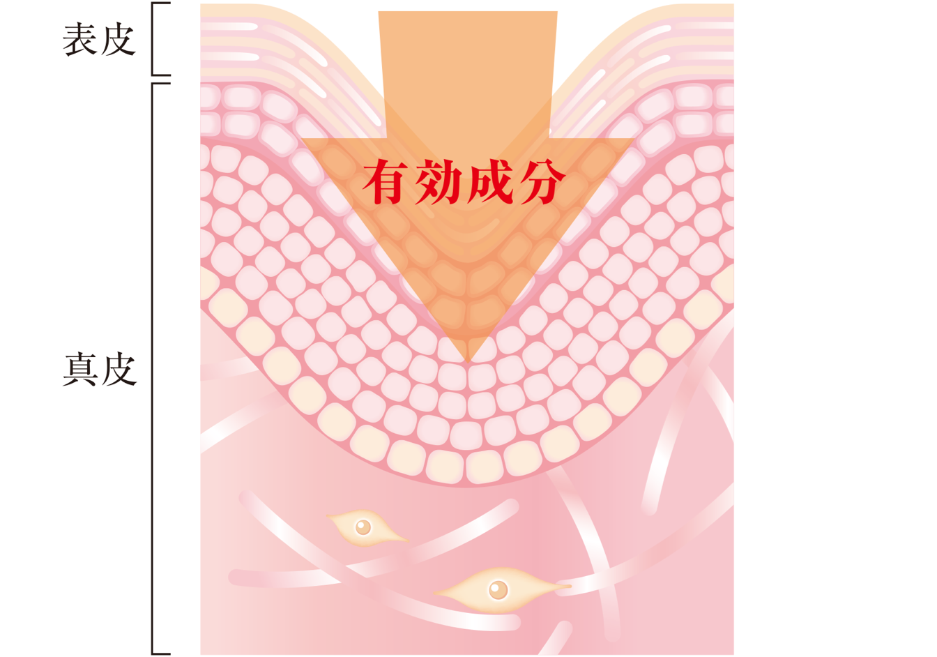 リサージ リンクルシューター Lissage リサージ リサージ リンクルシューター Lissage リサージ