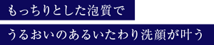 もっちりとした泡質でうるおいのあるいたわり洗顔が叶う