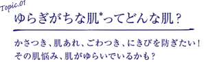 Topic.01 ゆらぎがちな肌*ってどんな肌？かさつき、肌あれ、ごわつき、にきびを防ぎたい！ その肌悩み、肌がゆらいでいるかも？