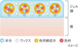 リップチェンジテクノロジーのイメージ図