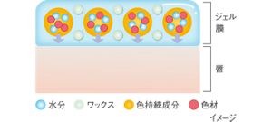 リップチェンジテクノロジーのイメージ図