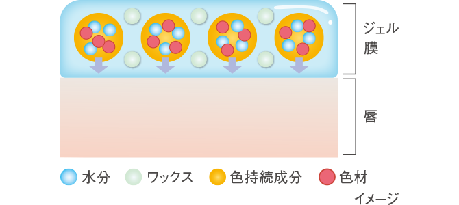 商品画像：試してみた】リサージ リップチェンジパフォーマーのリアルな 3