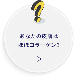 あなたの皮膚はほぼコラーゲン？