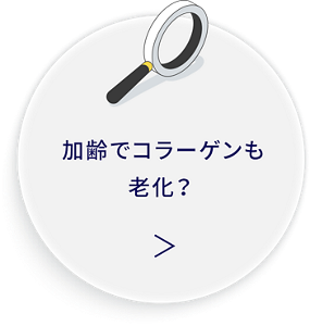 加齢でコラーゲンも老化？