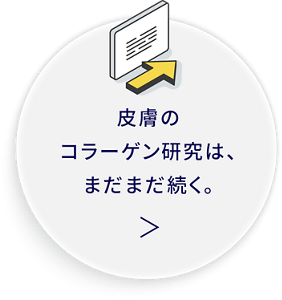 皮膚のコラーゲン研究は、まだまだ続く。