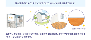 家は定期的にメインテナンスすることで、キレイな状態を維持できます。 肌がキレイな状態（シワが少ない状態）を維持するためには、コラーゲンの質と量を維持する“コラーゲン代謝”が大切です。