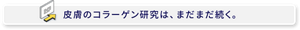 皮膚のコラーゲン研究は、まだまだ続く