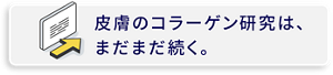 皮膚のコラーゲン研究は、まだまだ続く